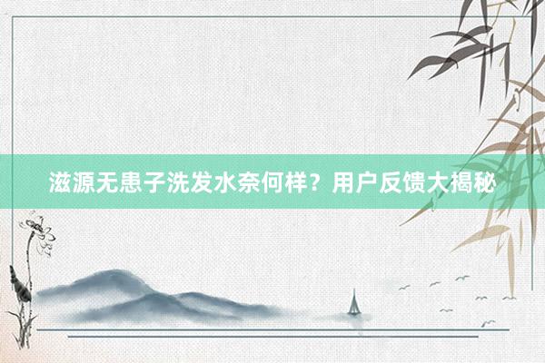 滋源无患子洗发水奈何样？用户反馈大揭秘